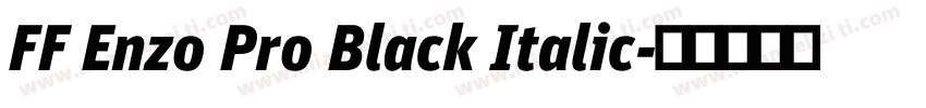 FF Enzo Pro Black Italic字体转换